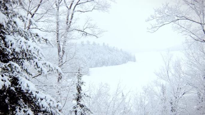 落雪盘右雪、加拿大、林地、