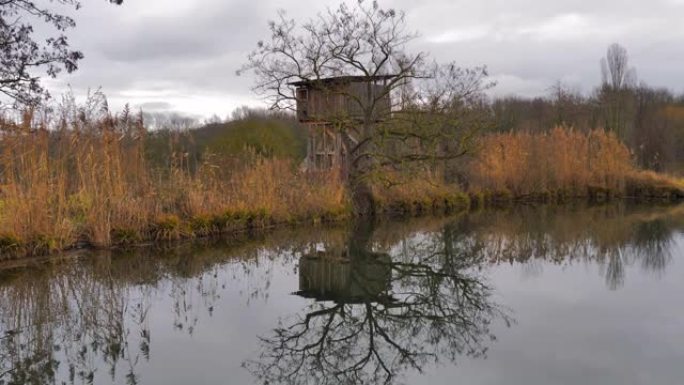 鸟泻湖树上的木制守望室