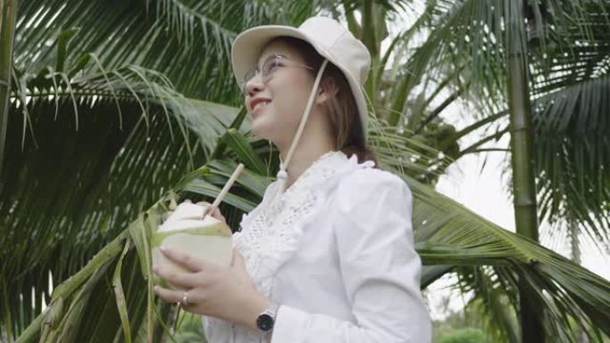 女人在椰子树上喝椰子汁