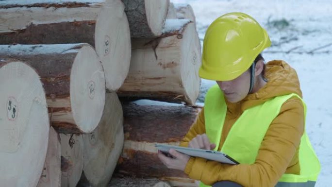 木材工业。工程师测量和计算日志量。组织运输问题。采取措施重新造林林地。