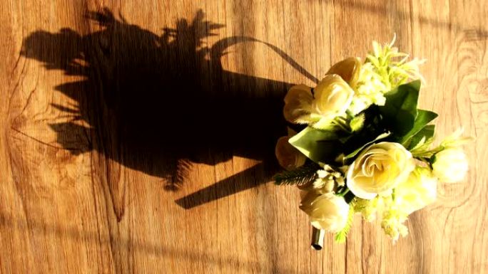 鸟瞰图-带晨光的花盆中的延时玫瑰