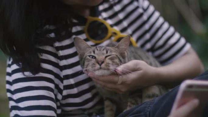 自拍时间到了!美女抱着小猫自拍