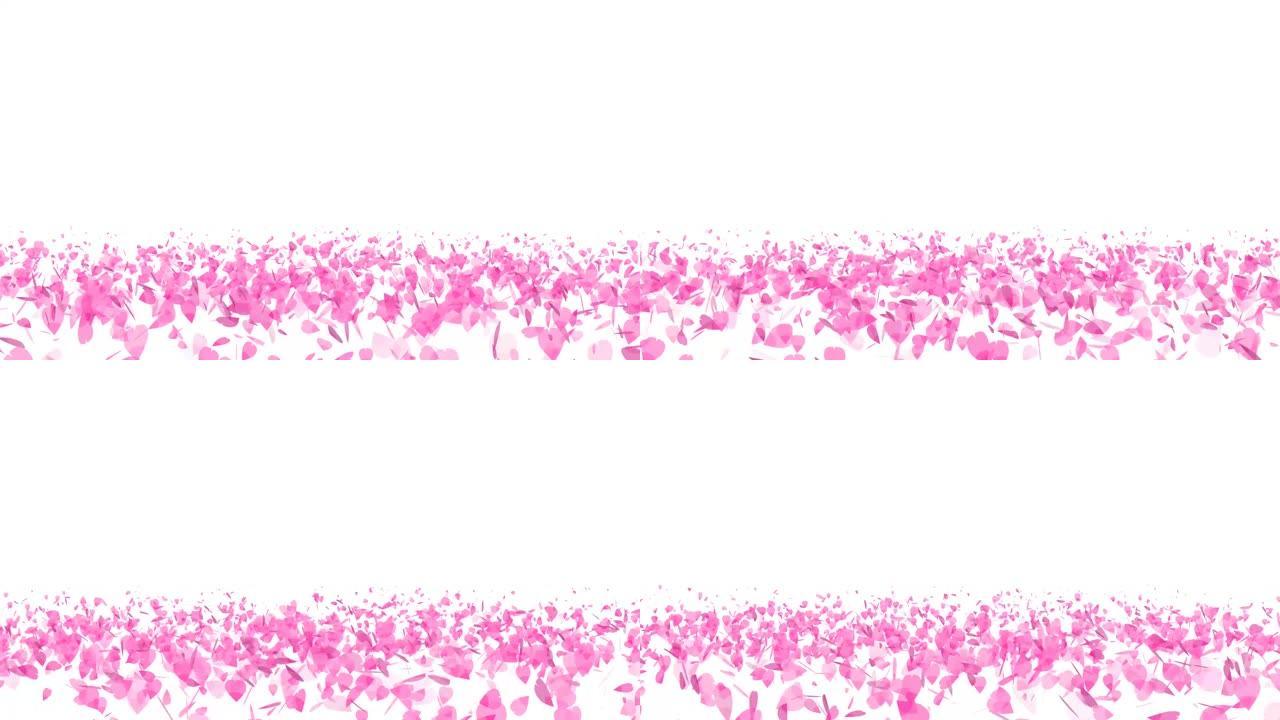 百万粉红色樱花叶子在地板孤立的背景上旋转