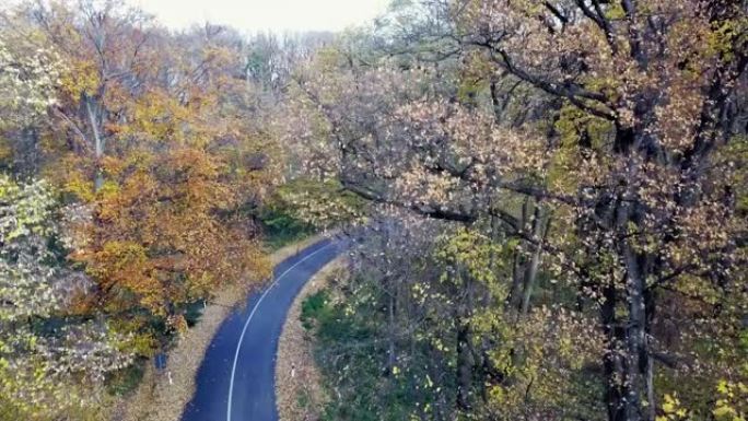 穿过森林的道路的鸟瞰图。山里的秋天。
