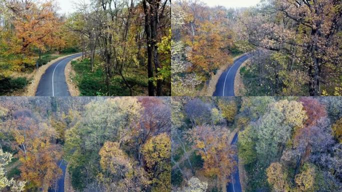 穿过森林的道路的鸟瞰图。山里的秋天。