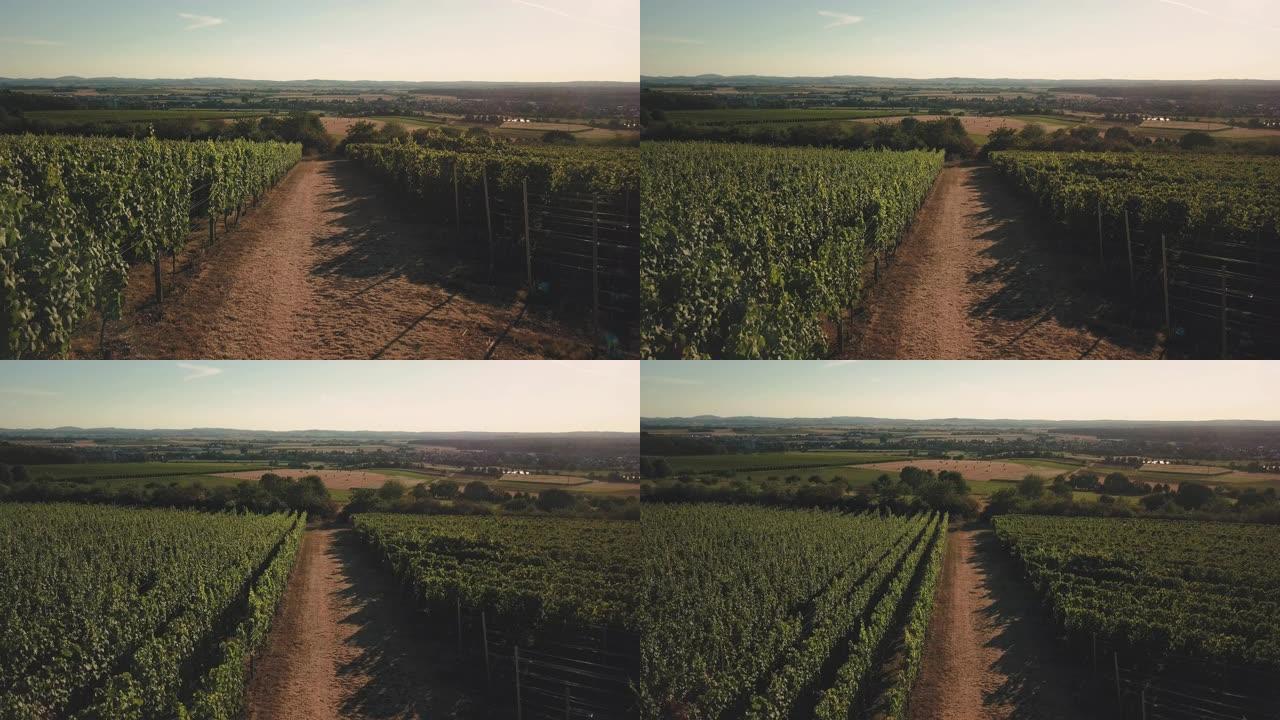 葡萄酒种植克莱因-乌姆施塔特·温德林茨斯卡佩尔的鸟瞰图