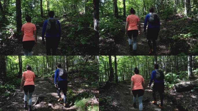 年轻男子和年轻女子在加拿大魁北克森林徒步旅行。