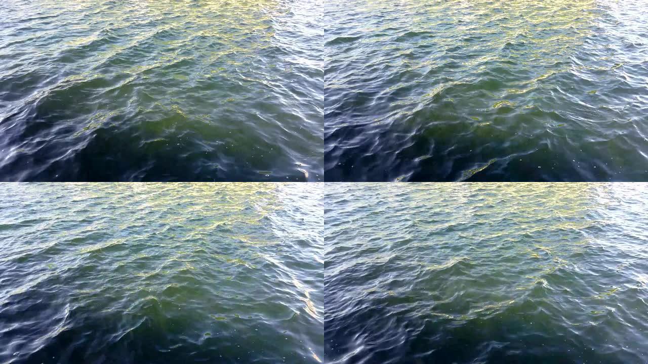 风吹在水上视频素材水景海洋海边沿海