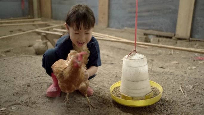 快乐的微笑的亚洲小女孩在乡下的农场里抱着一只棕色的母鸡。她试图强迫母鸡吃饭。手持镜头，真实生活