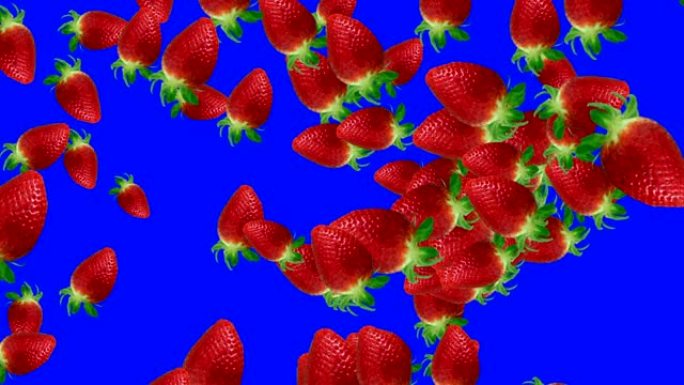 蓝屏色键草莓组水果过渡动画