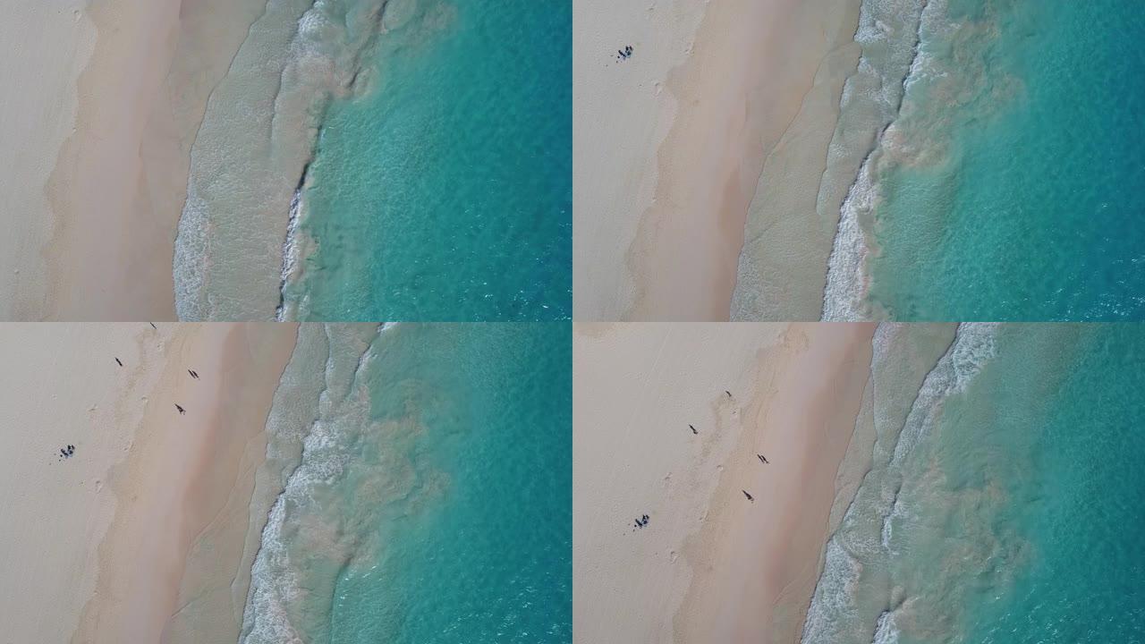 百慕大霍斯舒尔湾海滩的无人机鸟瞰图