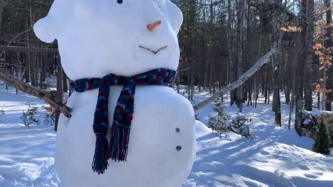 冬天森林里的雪人冬天森林里的雪人