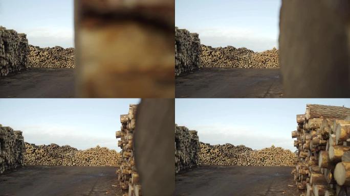 多莉拍摄了一堆新砍伐的木头。工业用木材储存。砍伐的树干。木柴全景图砍伐树干原木堆积准备。为工业生产砍