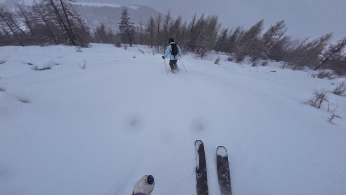 野雪小树林双板滑雪跟拍4K