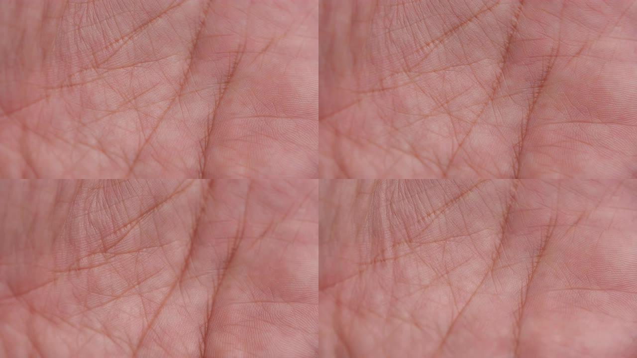 4k中人体手掌皮肤表面纹理的特写