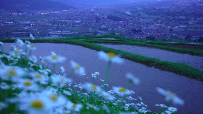 黄昏时的Obasute Tanada和城市景观照明