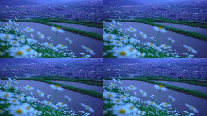 黄昏时的Obasute Tanada和城市景观照明