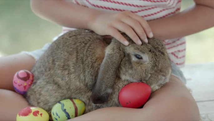 亚洲小女孩在复活节节日书桌上照顾膝盖上的兔子。