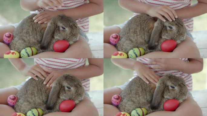 亚洲小女孩在复活节节日书桌上照顾膝盖上的兔子。
