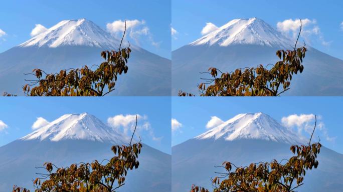 日本富士阿尔卑斯山上的雪