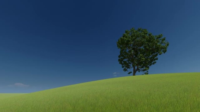 3d绿色图片。3d渲染。绿色小山上的一棵树和晴朗的天空。4k