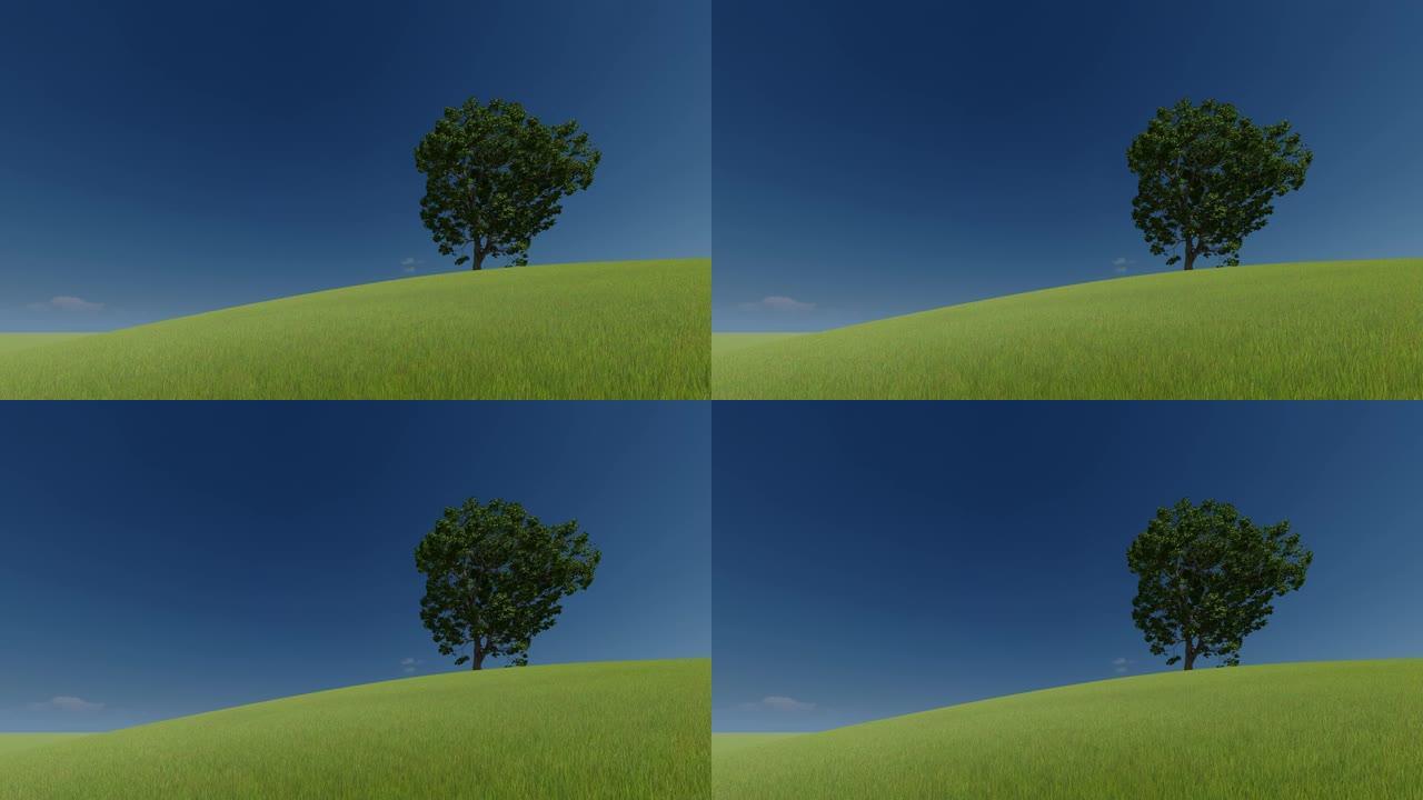 3d绿色图片。3d渲染。绿色小山上的一棵树和晴朗的天空。4k