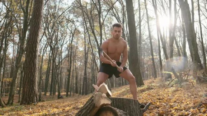 赤裸上身的壮汉在森林里用斧头砍柴。