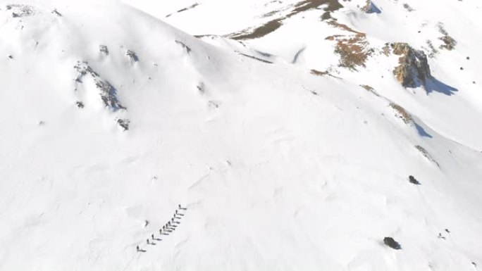 冬季高山登山队在高海拔山峰中连续行走的空中无人机镜头
