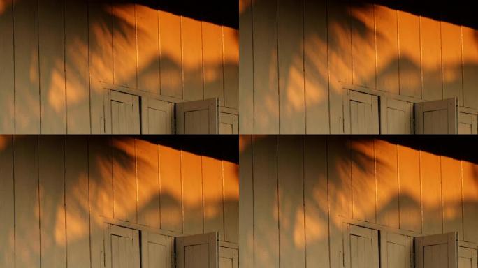 椰子躺在木屋墙上的阴影