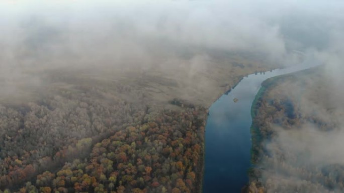 穿越云雾，飞向迷人的秋天风景，森林中蜿蜒的河流