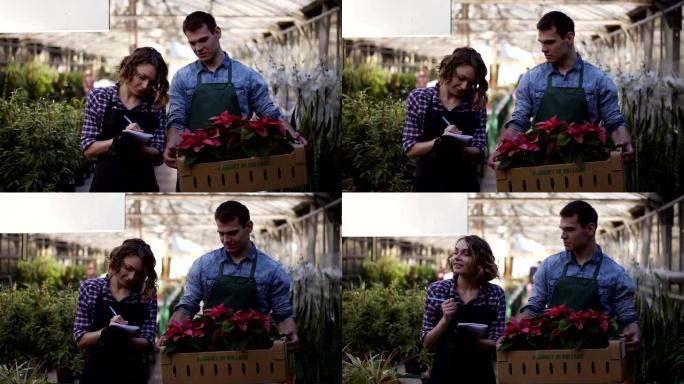 穿着衬衫和绿色围裙的英俊男性园丁带着粉色花朵植物的纸箱，一边和他的同事散步 -- 一个做笔记的好女孩