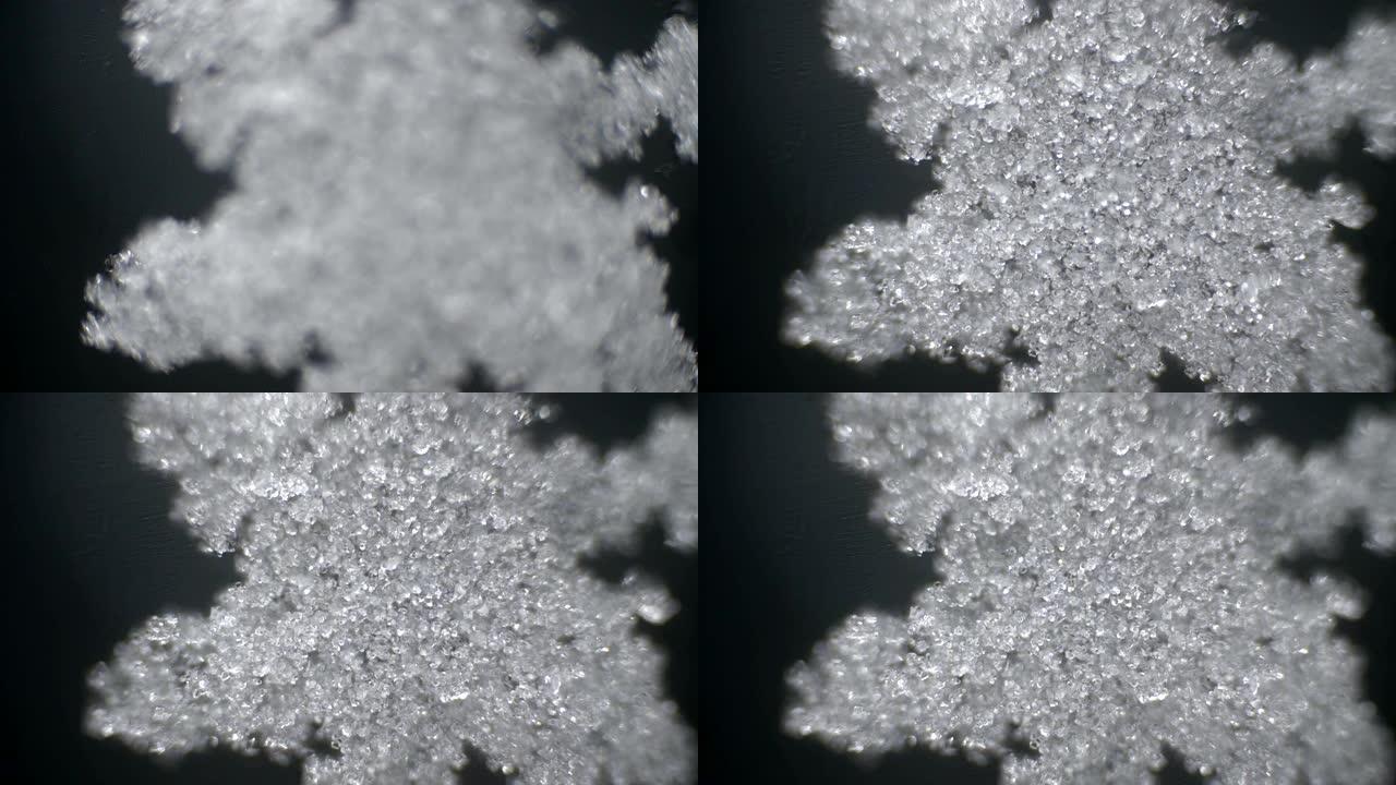 蓬松的雪花在显微镜下融化。