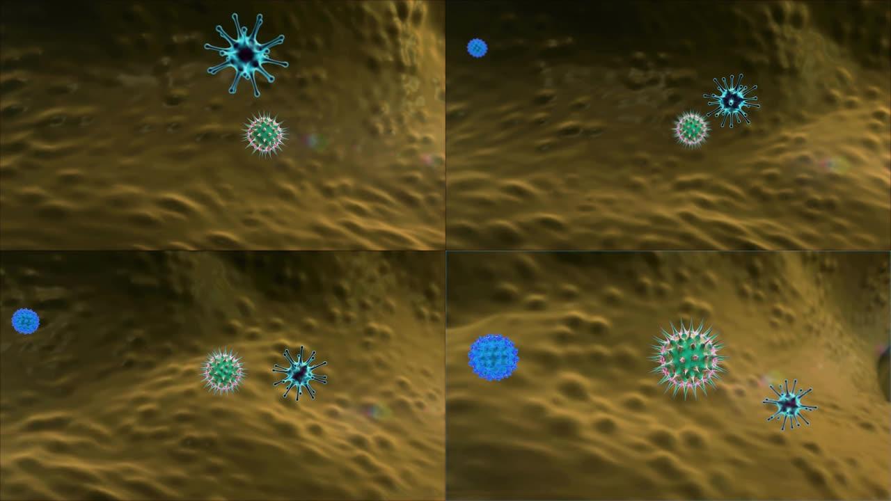 巨噬细胞和病毒,