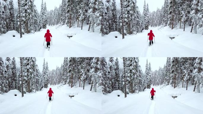 在高山冬季森林中，单身女子雪鞋行走