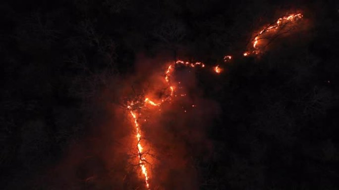 夜间鸟瞰野火