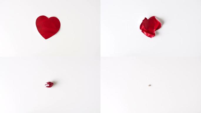 停止运动动画皱缩和消失的纸红色心脏在白色背景上。时间流逝。糟糕的情人节关系破裂