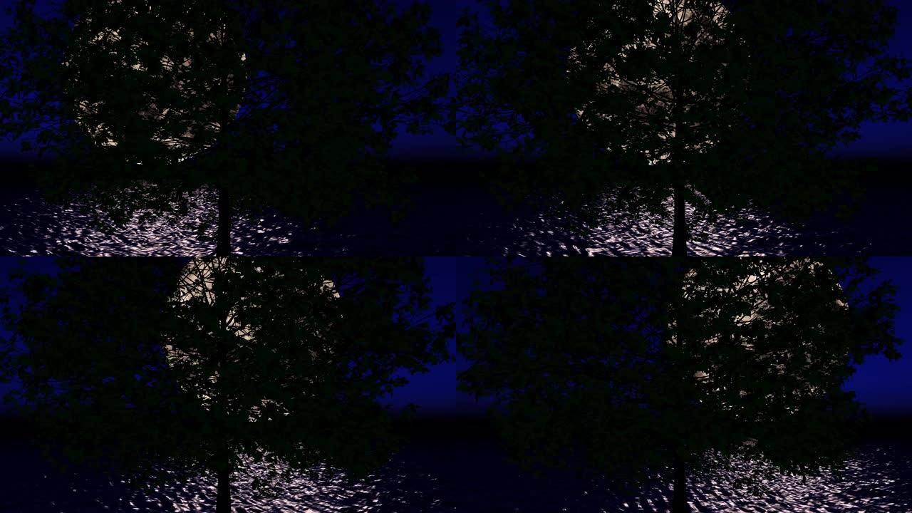 从树的树枝上看，洋面上巨大的月亮的多莉镜头