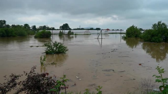 田间植物受损的河流洪水淹没草地