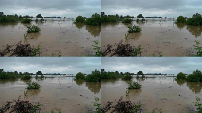 田间植物受损的河流洪水淹没草地