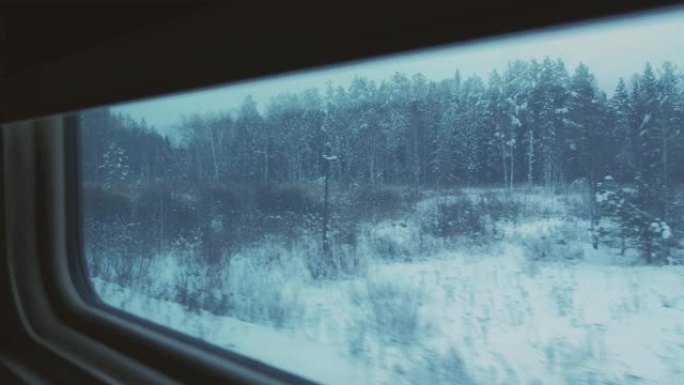 从行驶中的火车的窗户可以看到冬季森林。