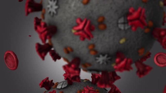 冠状病毒和红细胞缩小