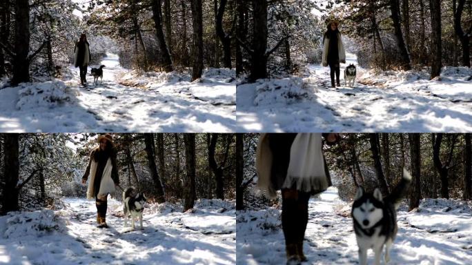 年轻女子在白雪皑皑的森林中与哈士奇狗同行