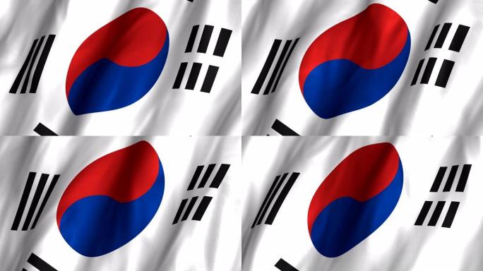 韩国挥舞着4K国旗