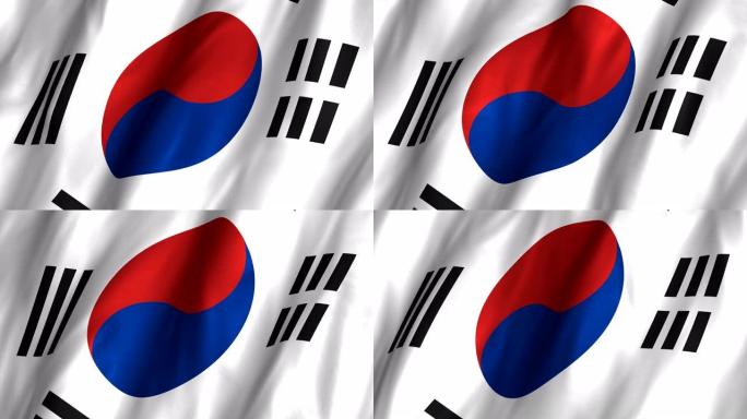 韩国挥舞着4K国旗