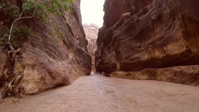 走进约旦佩特拉的阿尔西克峡谷