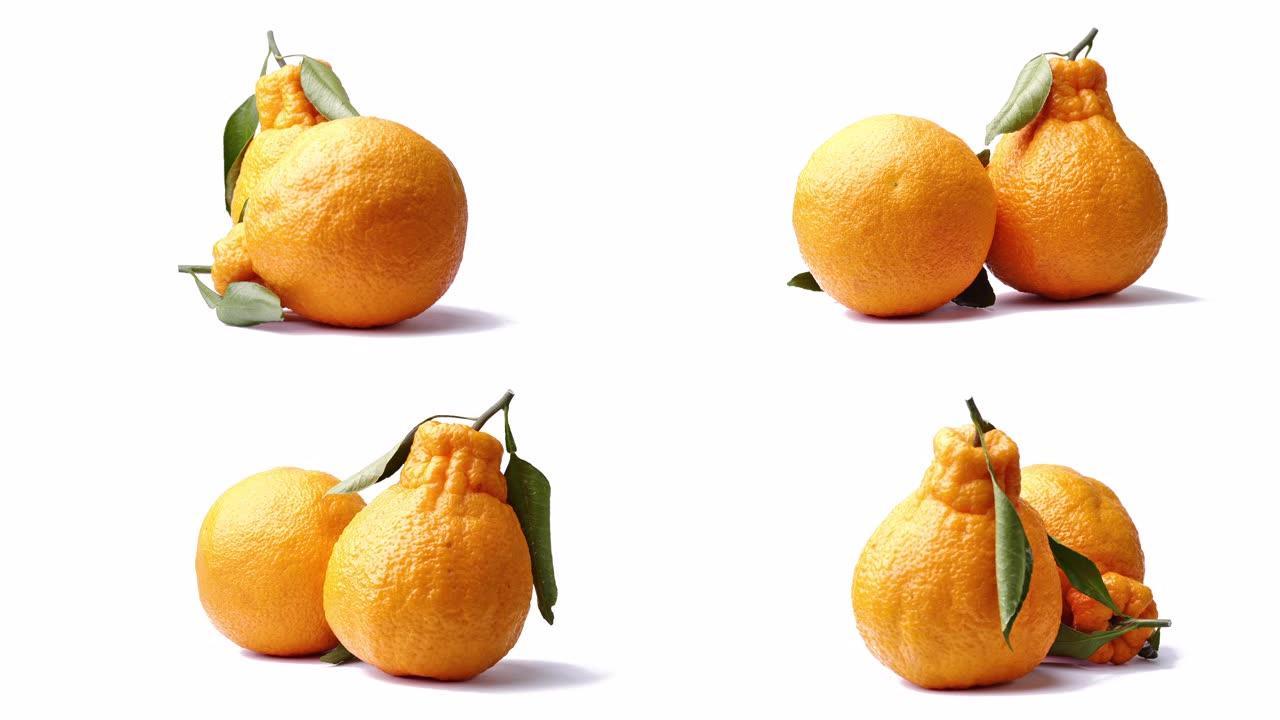 这是一种叫做Dekopon的水果。