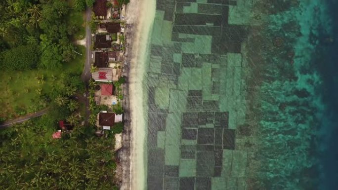 努沙佩尼达岛上沿海海草农场的鸟瞰图
