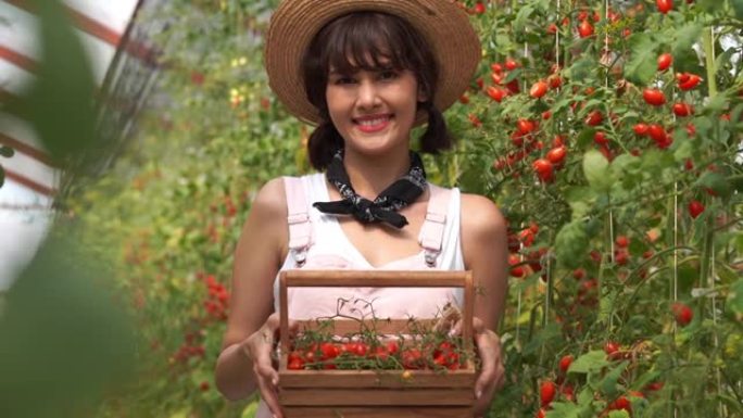 年轻的农妇在有机农场展示西红柿，转基因食品，生物食品，另类生活方式