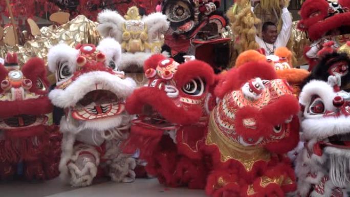 一群中国狮子在农历新年庆祝活动中表演。