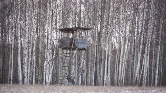 爱沙尼亚桦树前的一座小了望塔